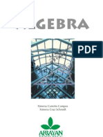 lgebra-arrayneditores-091008134511-phpapp02.pdf
