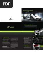 918 Spyder VIP Brochure