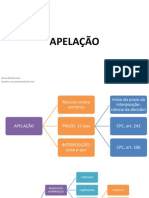 APELAÇÃO