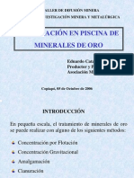 Cianuracion de Mineral de Oro en Bateas, Eduardo Catalano