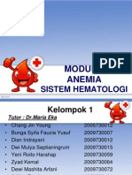 Slide Pleno Hematologi