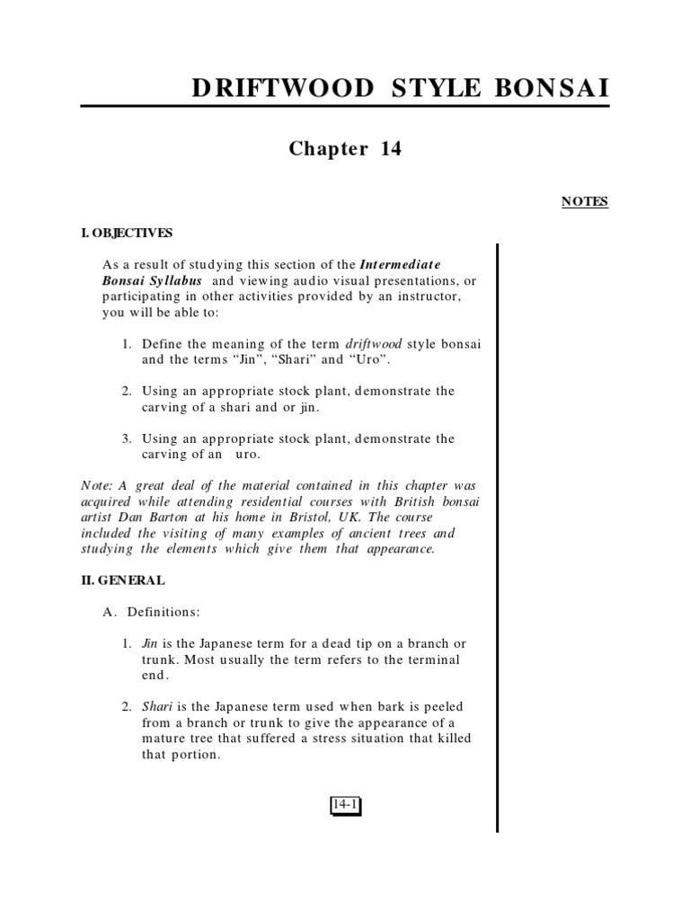 Driftwood Style Bonsai PDF Bonsai Trees