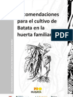 Cartilla Recomencaciones para El Cultivo de Batata en La Huerta Familiar