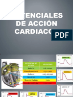 Potenciales de Accion Del Corazon