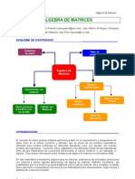 Algebra_Matrices.pdf