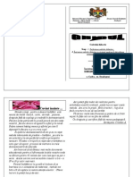 Ghidul Cadrului Didactic