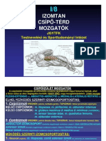 Izomtan Csipo Terd Mozgatok