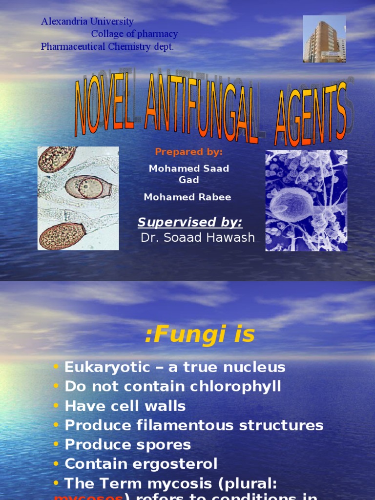 Antifungal Drugs Public Health Medical Specialties