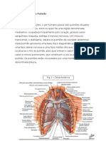 Pneumonite de Hipersensibilidade