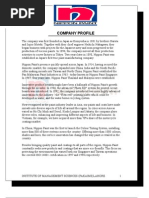 Download Nippon Paint Pakistan marketing Project  by Daud152 SN13265528 doc pdf