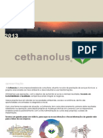 Serviços - Cethanolus Consultoria