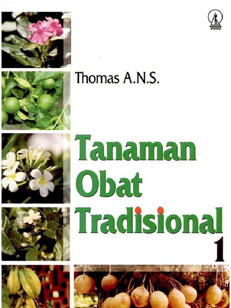 Pemanfaatan Tanaman Herbal Tradisional: Rahasia Kesehatan Alami Warga Tenjolayar