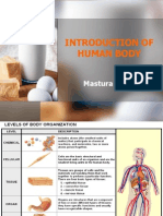 Introduction of Human Body: Mastura Johar