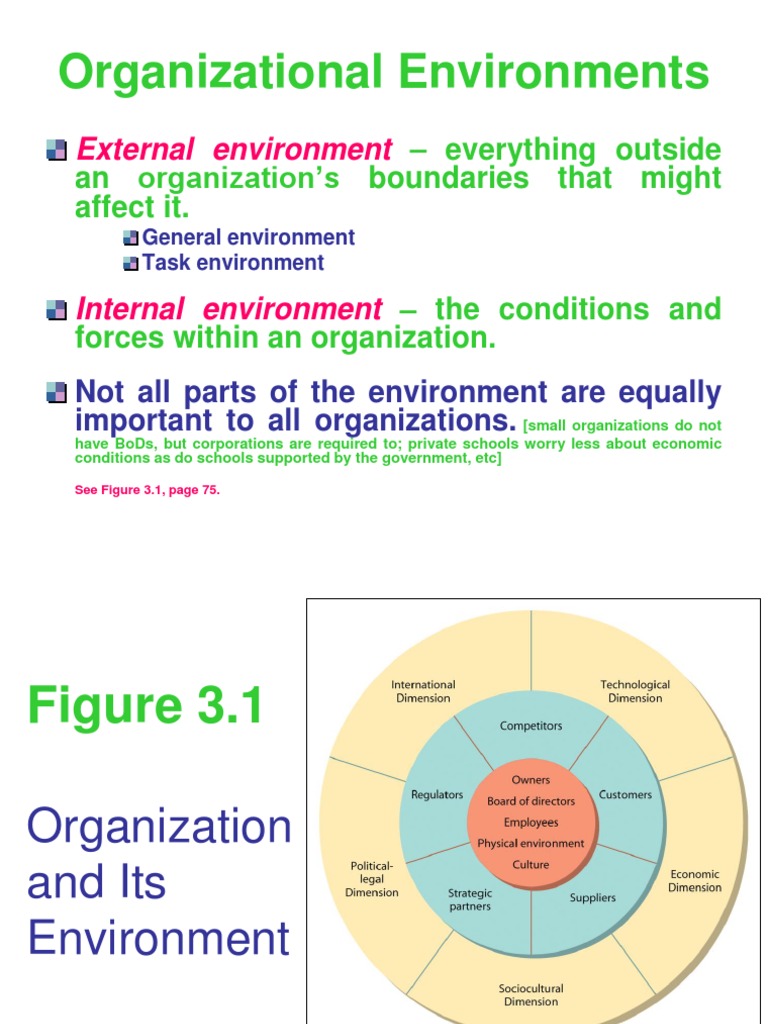 Understanding Organizational Environments | PDF | Career & Growth ...