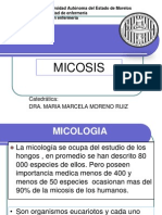 Micosis 2011