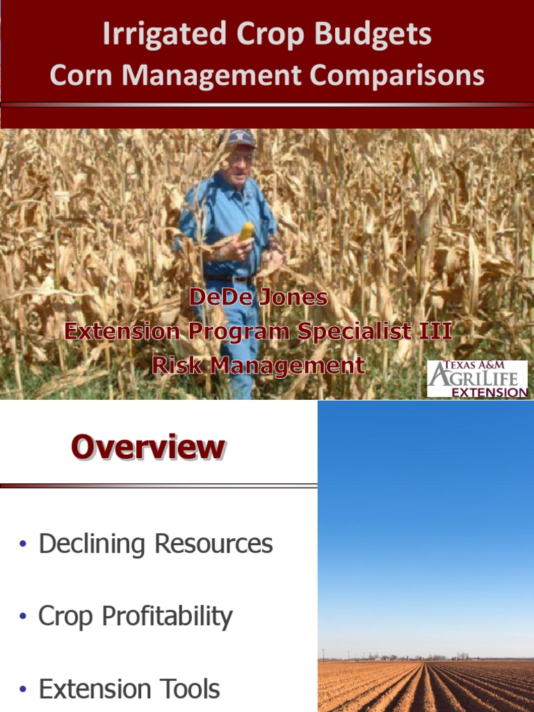 Corn Management Comparisons: Irrigated Crop Budgets | PDF | Maize ...