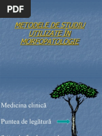 morfopat introducere