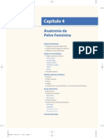 Anatomia da pelve feminina