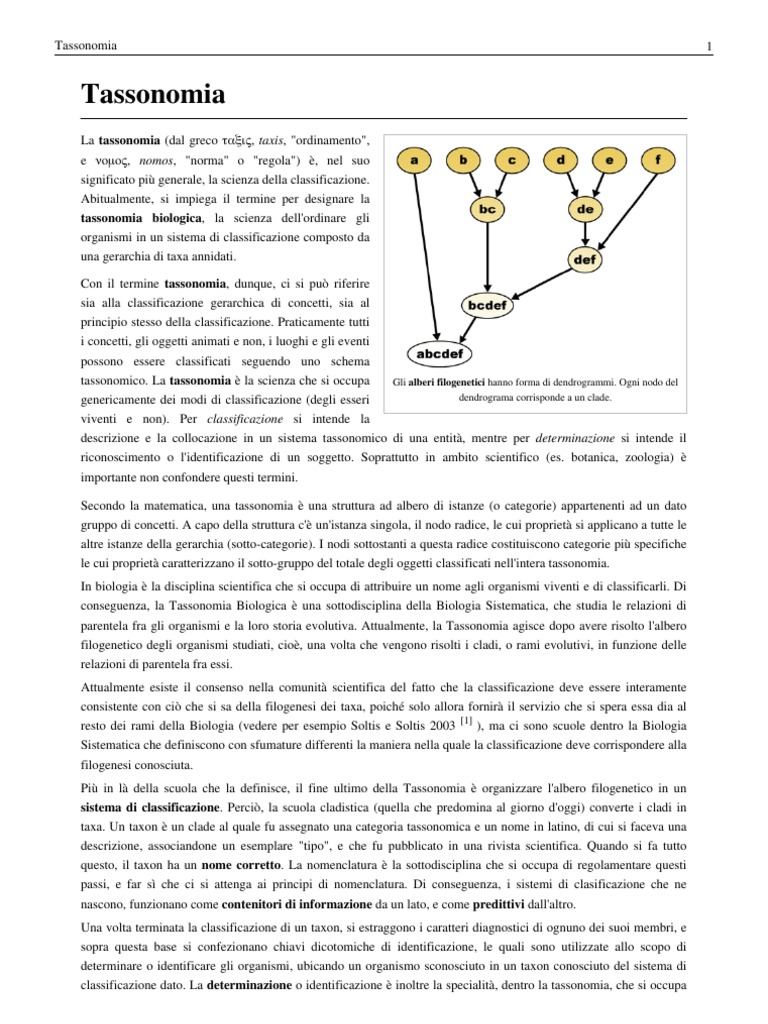Tassonomia | PDF, image size:768x1024