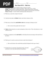 Download Blue Planet - Tidal Seas Worksheet by James Dauray SN132719930 doc pdf