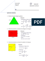 Areas Poligonos Resueltos Sag