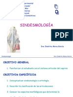 SINDESMOLOGIA.pdf