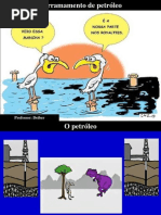 1. Derramemaneto de petróleo - 2012 com exercícios
