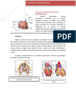 Anatomia y Fisiologia Del Aparato Cardiovascular