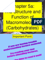 Chapter 5a: The Structure and Function of Macromolecules (Carbohydrates)