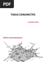 TISSUS CONJONCTIFS version étudiant