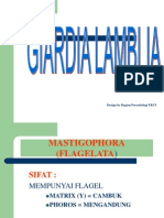 Giardia Interaktif