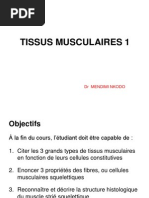 Tissus Musculaires