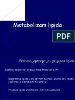 Metabolizam Lipida