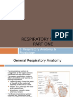Respiratory System Part One