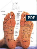 reflexologia y digitopuntura.pdf