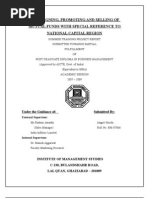 Download Mutual Fund Promotion in Ncr by majiclover SN13282747 doc pdf