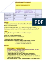 simple present perfect theory