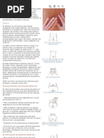 Shiatsu PDF