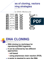 DNA Cloning Intro