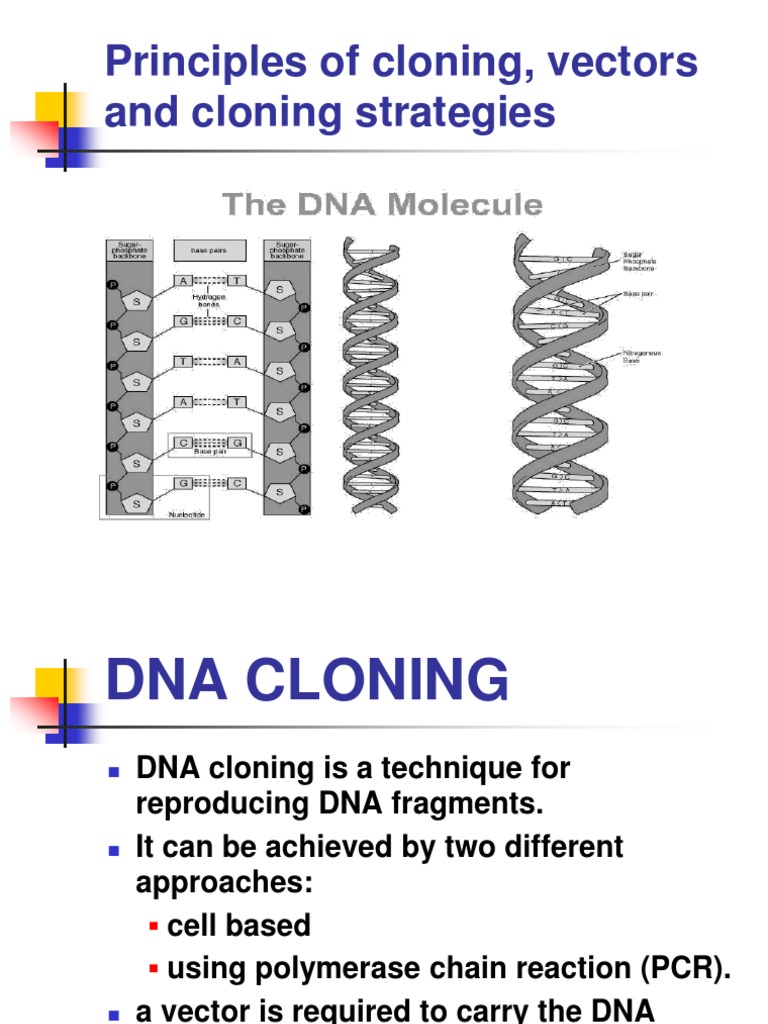 Gene Cloning Pdf Notes