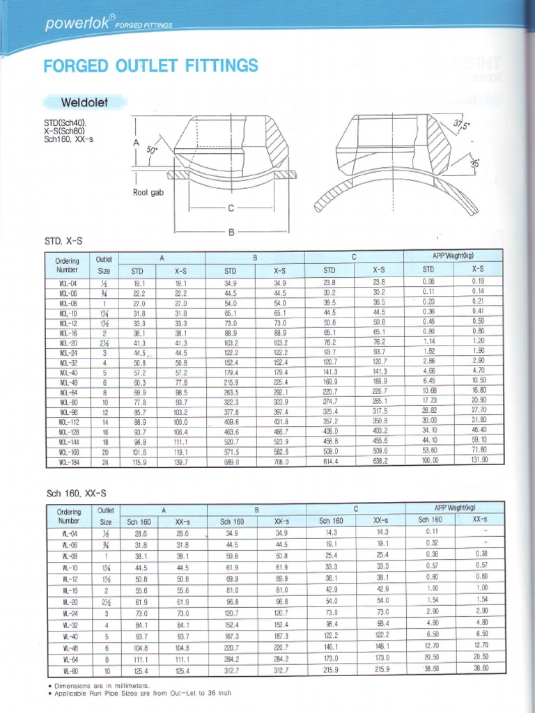 Catalogo, Sockolet, Threadolet, Nippolet, Swaged Nipple