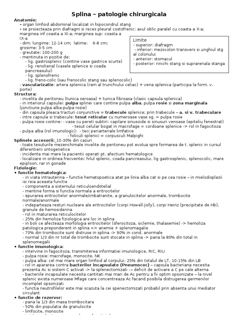 Splina | PDF