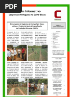 Boletim nº 12 da Cooperação Portuguesa na Guiné-Bissau - janeiro-fevereiro de 2013