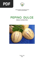 Download Pepino Dulce Manual by Tatiana Cavero Santos SN132872391 doc pdf