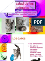 La Salud de Los Animales