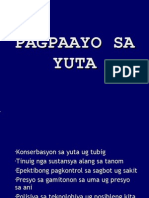 Pagpaayo Sa Yuta Ug Ani Pinaagi Sa Org Ani Kong