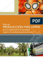Guia de P+L Biodiesel - Honduras