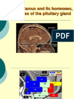 Hypothalamus and Its Hormones, Hormones of The Pituitary Gland