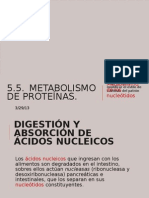 5.5. METABOLISMO DE PROTEÍNAS.