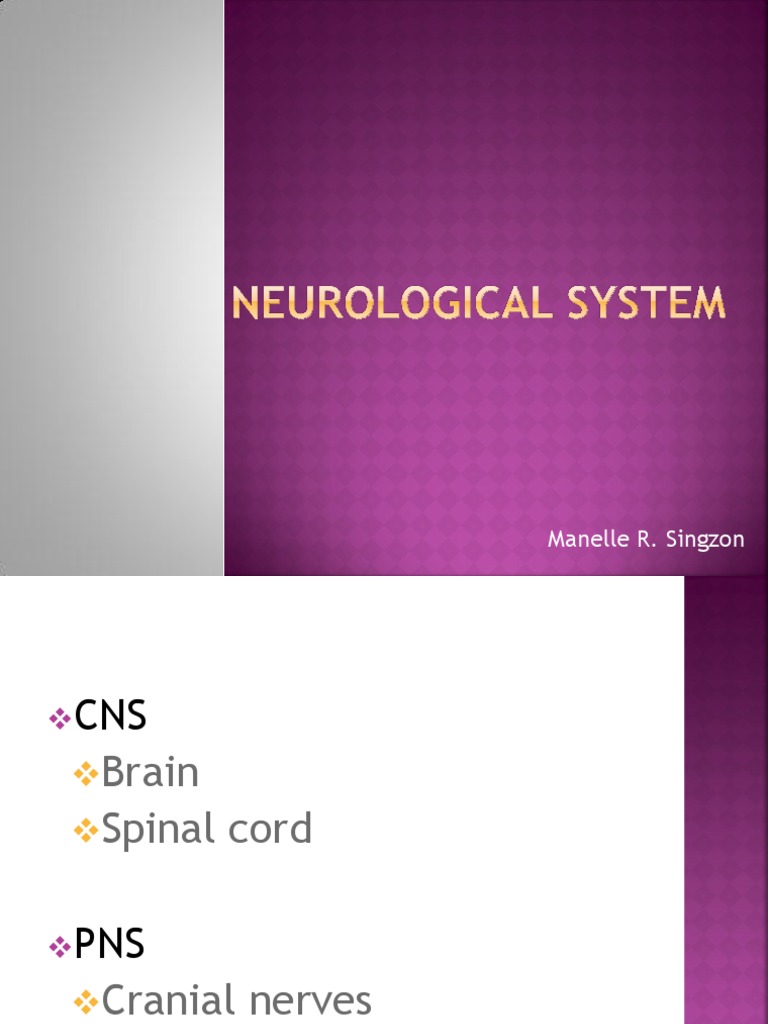 Neurological System | PDF | Wellness | Science & Mathematics